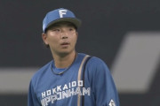 日ハム上野の守備、控えめに言ってやばい