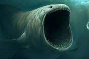 深海に巨大生物がいたら