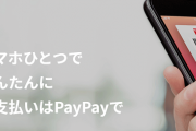 ペイペイ等のキャッシュレス決済各社の決算ｗｗｗｗｗｗｗｗｗｗｗｗ