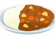 カレーとかいう天下取った食べ物www