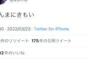 【朗報】みけねこ(元潤羽るしあ)さん、Twitterでアンチとレスバトル開始。あと働き先の内部情報を漏らす