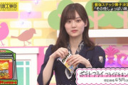 【乃木坂46】山下美月推薦 実況『最強スナックしょっぱい味編』2冠とっちゃうかも ポテトフライフライドチキン味【乃木坂工事中】