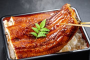 人類「ウナギの蒲焼き以外の料理方法考えなきゃ…」←これ
