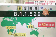 【悲報】南アフリカ変異株、各国への進行スピードが・・・
