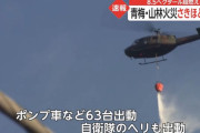 青梅市山林火災、男性「庭で焚き火でもするか」→9万平方メートルを超える山林が延焼、自衛隊ヘリも消火活動に加わる！