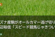 キズナ産駒メイショウゲキリンがオールカマー逃げ切り 田辺裕信「スピード競馬じゃきつい