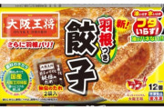 【画像】市販の冷凍食品で最もうまいやつ、ついに決定する