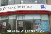 【動画】中国の銀行が世界規模で「森林破壊」に関与！150億ドルの資金を提供