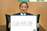 【朗報】菅ちゃん、息子には自助ではなく最初から公助発動していた