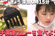 【日向坂46】渡邉美穂が作ったカレー、食べたすぎる