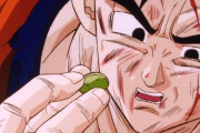 ドラゴンボール原作で孫悟飯が食べた仙豆の数ｗｗｗｗｗ