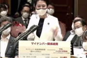 クラウド蓮舫さん「拙い発言で物議を醸し申し訳ありません。ただシステム構築そのものを見直さず9.3億円の補正措置はおかしい」