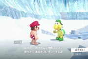 エアプ「氷、雪エリアの終盤感ｗ」玄人ワイ「はぁ…｣