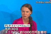 グレタさんが1000万円寄付wwwおいお前どこにもそんな金持っとったんやwww |  スポンサー誰やねん