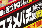 アース製薬さん、地球上からスズメバチを根絶させるヤバすぎる殺虫剤を発売