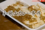 【闇】和歌山毒物カレー無差別殺傷事件、冤罪かどうか未だに謎