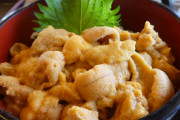 20歳大学生だけどウニ丼3000円かうどん400円か迷ってる