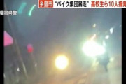 女を乗せてイキってた福岡の暴走族、イノシシに衝突して転倒　逮捕