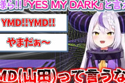 【悲報】ホロライブ山田、空気を読めない発言でまた周りを凍りつかせてしまう……