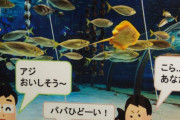 【画像】「水族館の魚を見て美味しそうって言っていいの？」→とある水族館の回答が素敵すぎると話題に！！