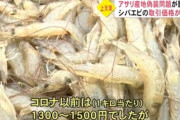 熊本県漁協「アサリ以外も取引価格が軒並み下落して、商売が成り立たなくなった」