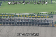 【競馬】去勢されたニシノジャガーズ、ゲートから出ず