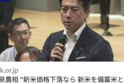 【悲報】小泉進次郎農相「新米が安くなったら備蓄米として買ってやるわw」←またしても大炎上へ