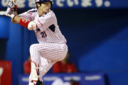 山田哲人(22) .324(596-193) 29本 89打点 15盗塁 OPS.941