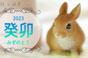 2023年デス