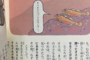 【悲報】おさかなさん、自分より大きな魚を見るとオスからメスになっちゃう❤︎