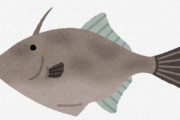 魚で一番頭いいと思う種類WWWWWWWWWWWWWWWWWWWW