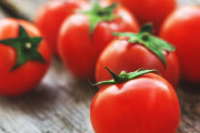 トマトは冷蔵かそれとも常温保存か、プロの舌と科学の力で明らかになる