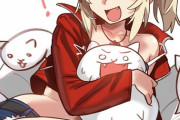 【FGO】猫？と戯れてるモーさんイラスト！！　アポ私服モーさん可愛いです！！