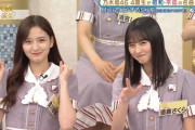 【乃木坂46】仕上がってるな〜・・・遠藤さくらと金川紗耶のこのカット、最高すぎた・・・