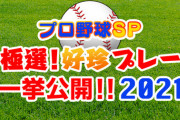 12月29日(水)朝6時から「プロ野球好珍プレー」があるぞ！