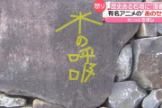 国の史跡・甲府城跡にアニメのセリフ「水の呼吸」を落書きか　被害は11カ所に