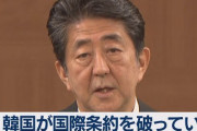 【これは酷い】安倍首相「韓国が国際条約を破っている」⇒ 韓国高官「輸出管理ではなく、歴史問題に起因した報復だと証明した！」