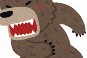 【疑問】なぜ熊を絶滅させないのか