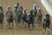 【ドバイゴールデンシャヒーン】ドンフランキー逃げ粘り2着死守　馬券は大波乱