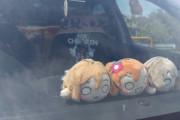 愛車にグッズを飾ってるやつ【ラブライバー】