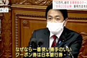 【国会】国民･玉木代表の名言！「一番使い勝手の良いクーポン券は日本銀行券です。」