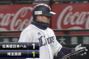 【vs西武】日ハム生田目、4回に山川の犠牲フライで同点に追いつかれる
