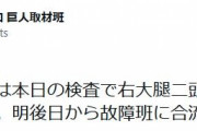 【巨人】１２日の阪神戦で緊急降板のメンデスが右大腿二頭筋筋損傷と診断