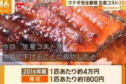 【朗報】完全養殖ウナギの生産コストが20分の1に 2016年は1匹あたり4万円だったのが今は1800円