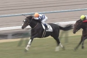 【競馬/新馬】京都5R新馬戦にヒシマサル