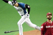 ハム2016は大谷1人だけの優勝←これ