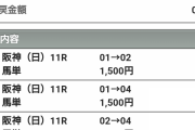 【競馬】画像あり‥ 宝塚記念にボーナス全額いきました