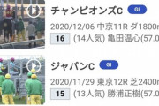 ヨシオが引退　JRA馬事公苑で乗馬に