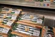 【画像】今年の秋刀魚、値上がりの上にサイズがイワシサイズになる