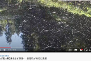 【地下】新潟県で「原油」が異常に湧き出る現象が発生中…一体、何が起きているのか？